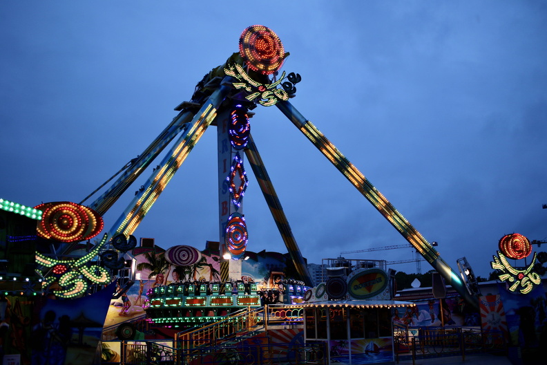 Frisbee - F. Goetzke (2).jpeg